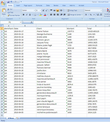 Rapport créé en format Microsoft Excel